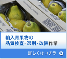 輸入青果物の品質検査・選別・改装作業