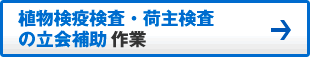 植物検疫検査・荷主検査の立会補助作業